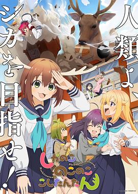 无秩序青春